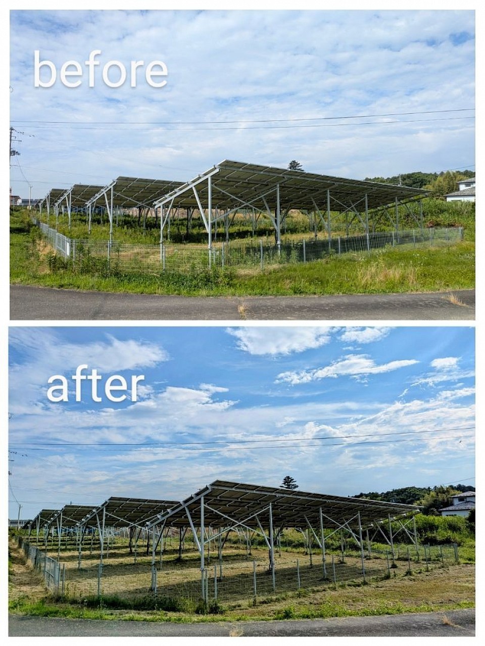宮城県石巻市太陽光発電所 草刈り