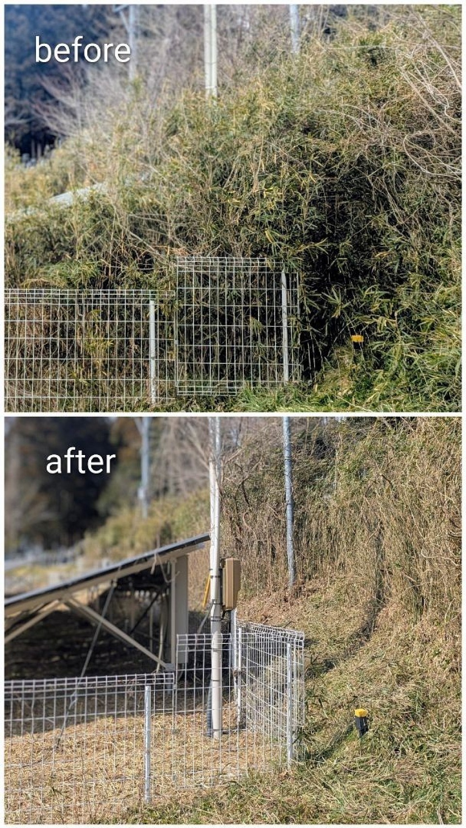 宮城県遠田郡太陽光発電所 草刈り伐採